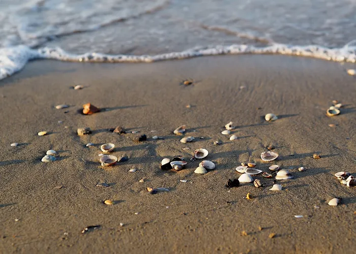 Modern With Seaview Large Balcony
